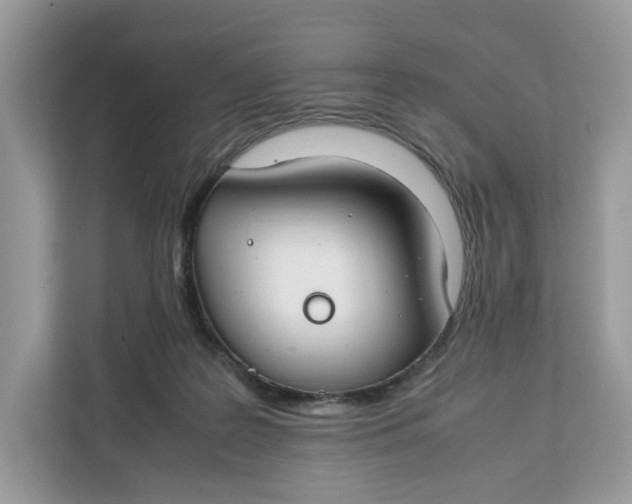 X0000112210219200908281506