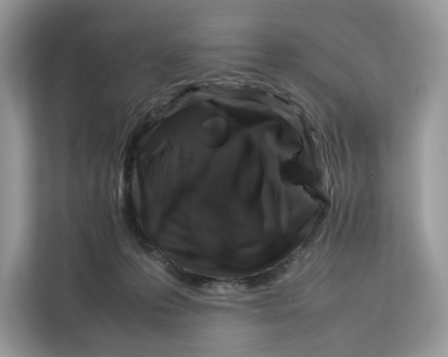 X0000112210223200908281506