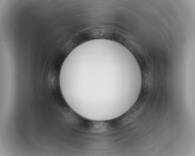 X0000112210226200908281506