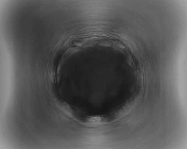 X0000112210227200908281506