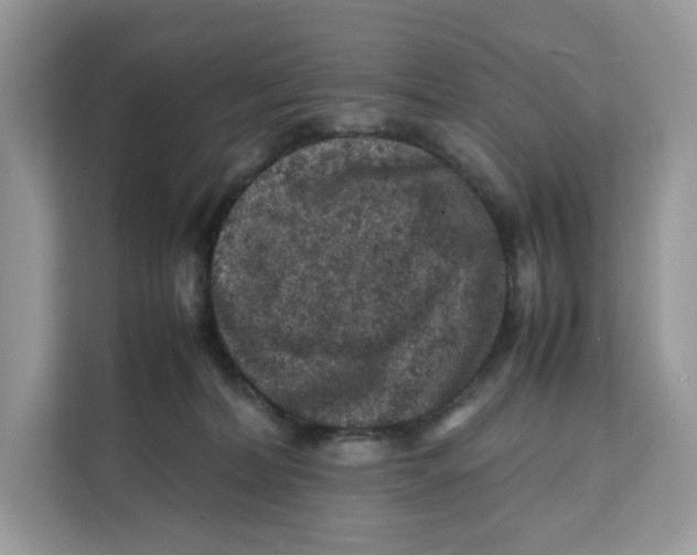 X0000112210228200908281506