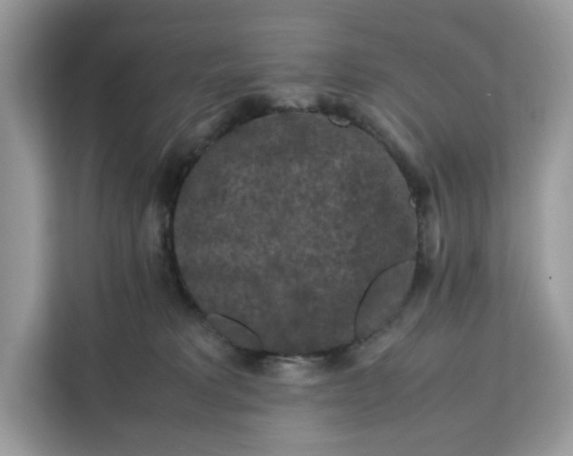 X0000112210229200908281506