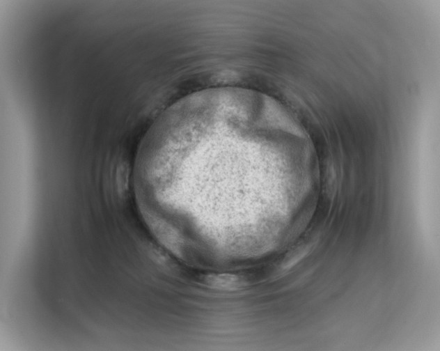 X0000112210230200908281506