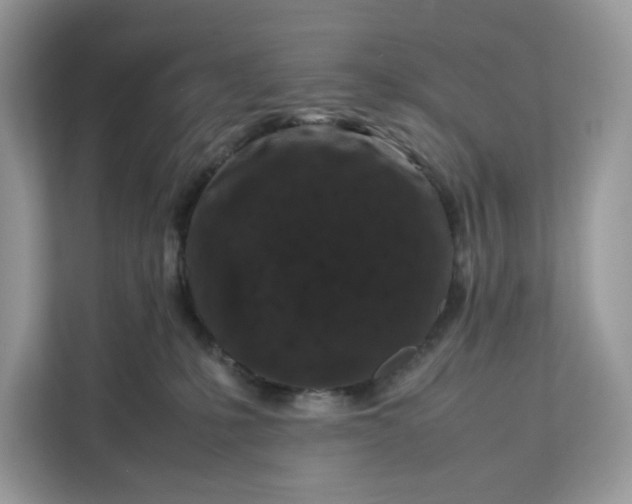 X0000112210231200908281506