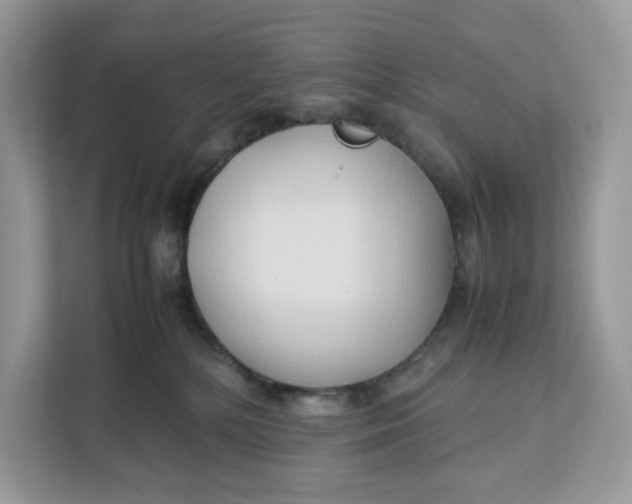 X0000112210232200908281506