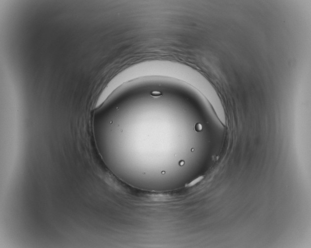 X0000112210233200908281506