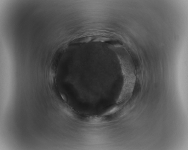 X0000112210235200908281506