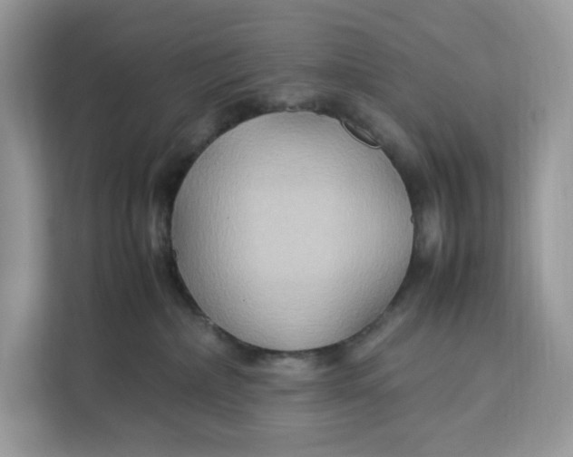 X0000112210236200908281506