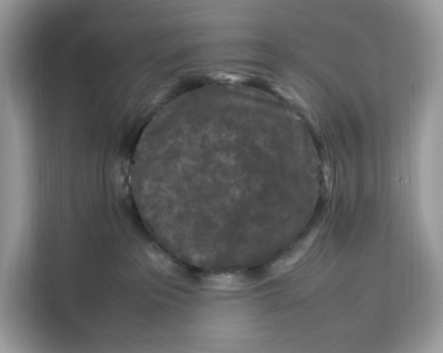 X0000112210237200908281506