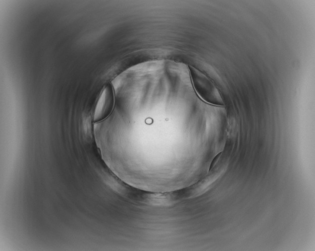 X0000112210238200908281506