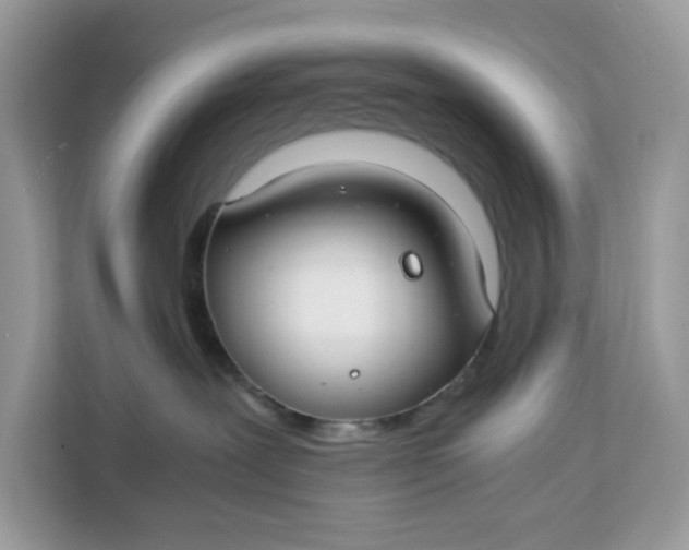 X0000112210239200908281506