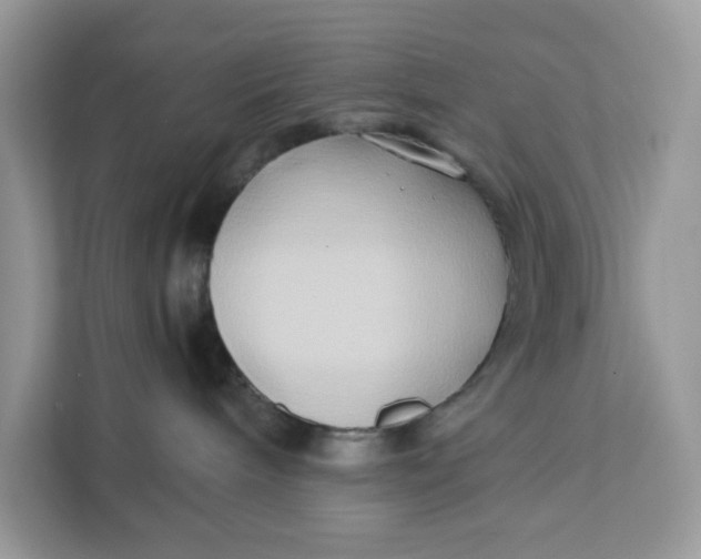 X0000112210240200908281506