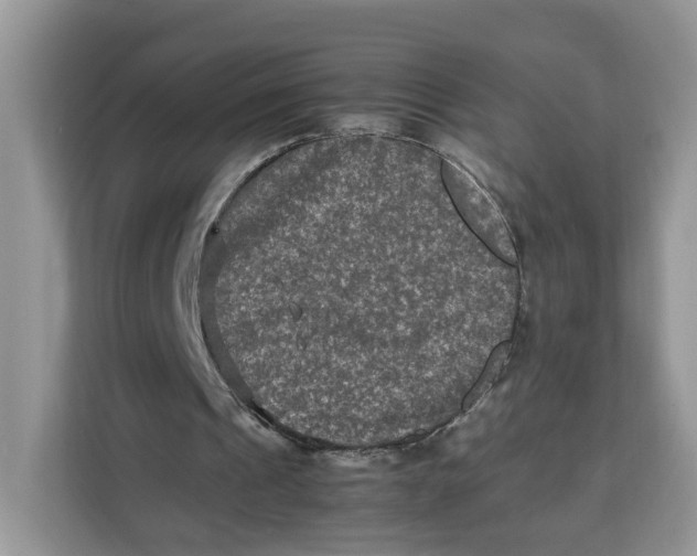 X0000112210241200908281505