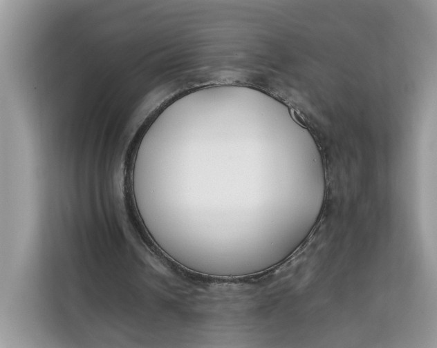 X0000112210242200908281505