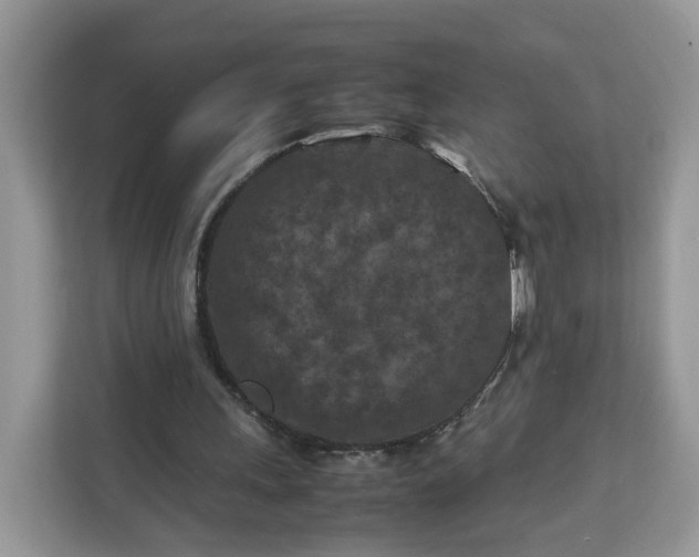 X0000112210243200908281505