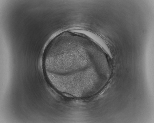 X0000112210244200908281505