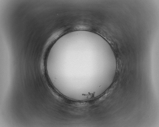 X0000112210245200908281505