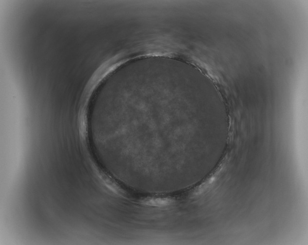 X0000112210247200908281505