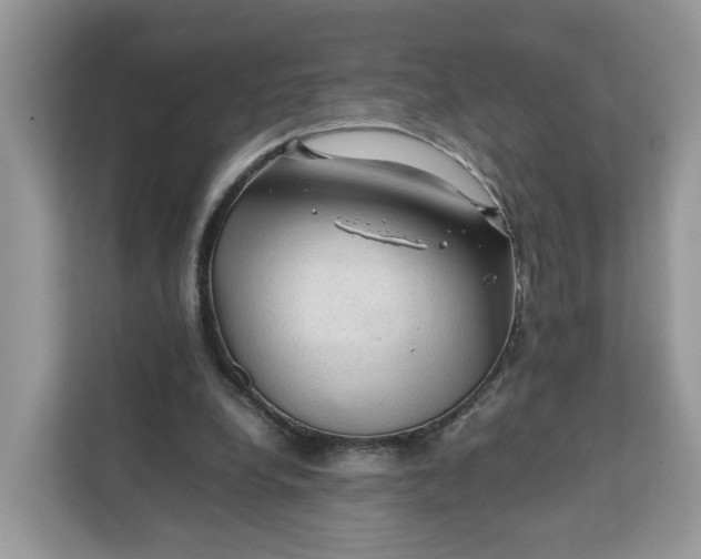 X0000112210248200908281505
