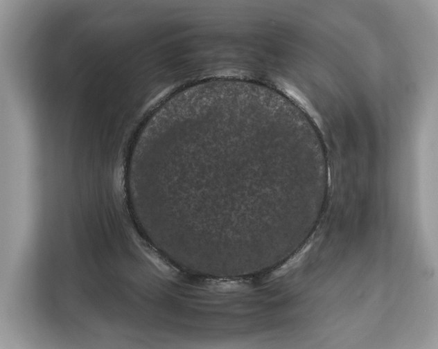 X0000112210249200908281505