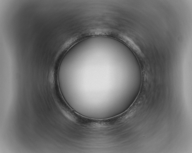 X0000112210250200908281505