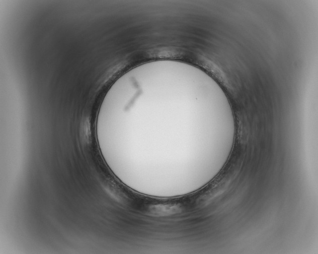 X0000112210251200908281505