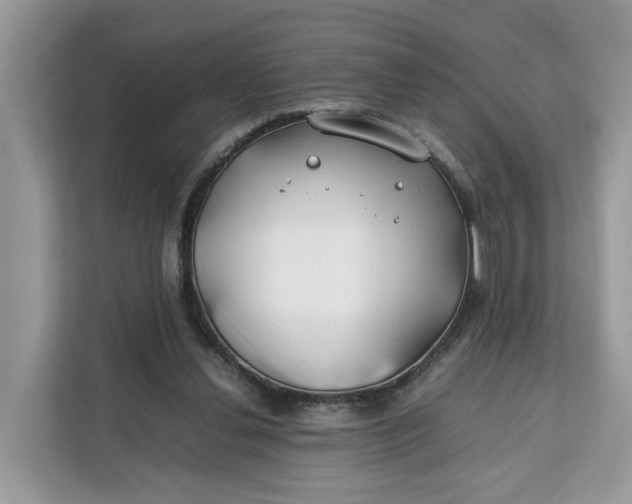 X0000112210252200908281505