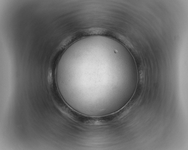 X0000112210254200908281505