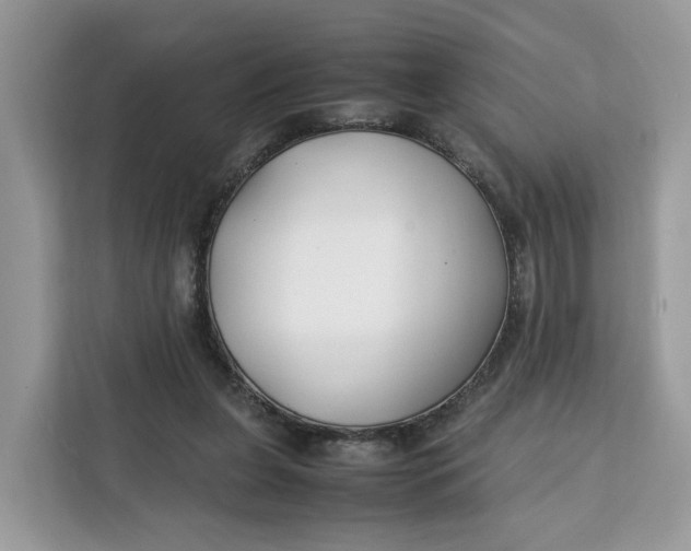 X0000112210255200908281505