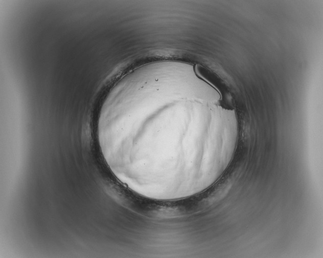 X0000112210256200908281505