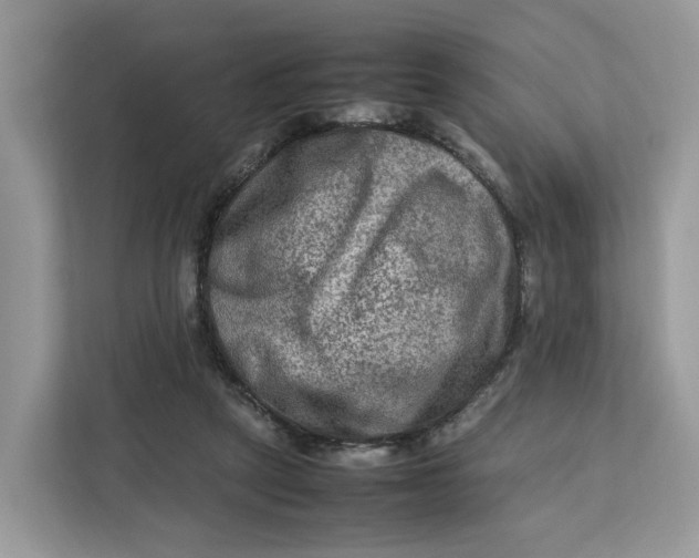 X0000112210257200908281505