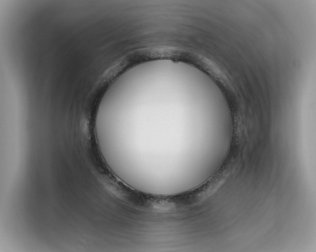 X0000112210258200908281506