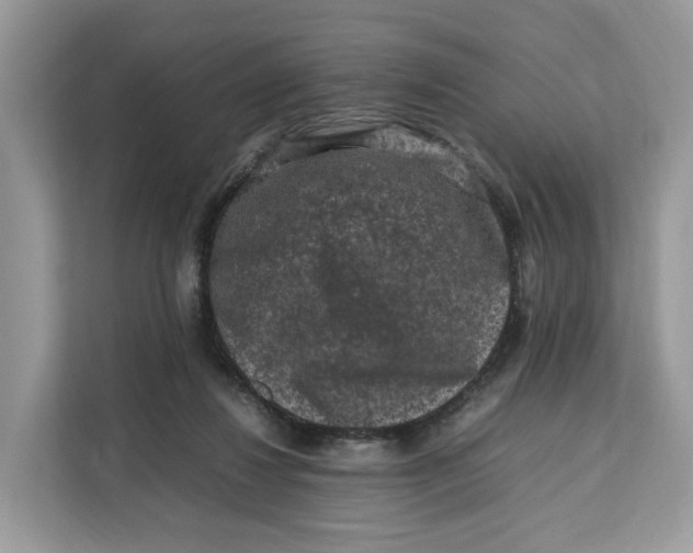 X0000112210260200908281506