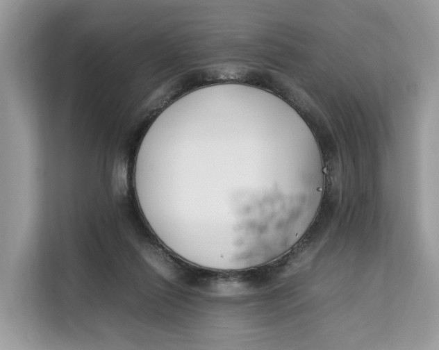X0000112210262200908281506