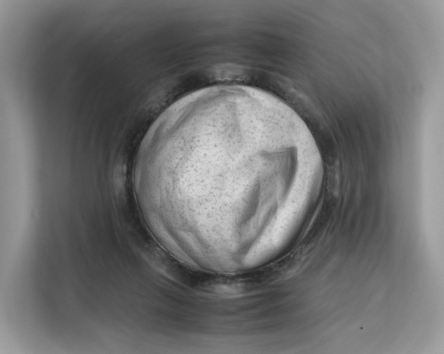 X0000112210263200908281506