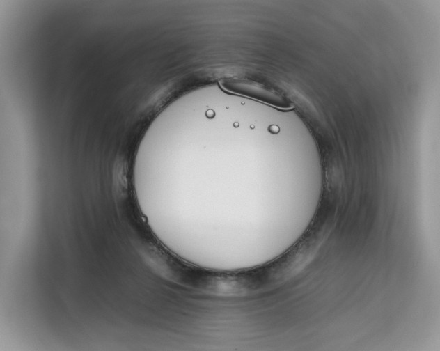 X0000112210264200908281506