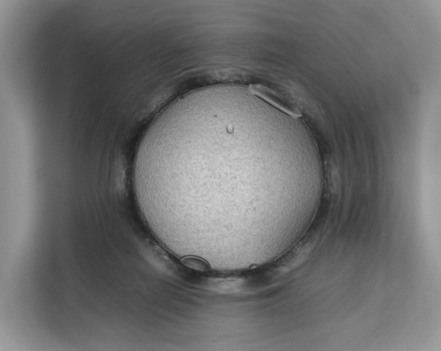 X0000112210266200908281506