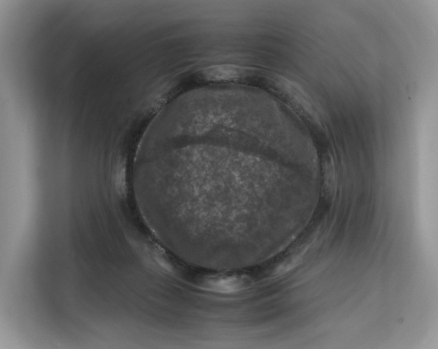 X0000112210267200908281506