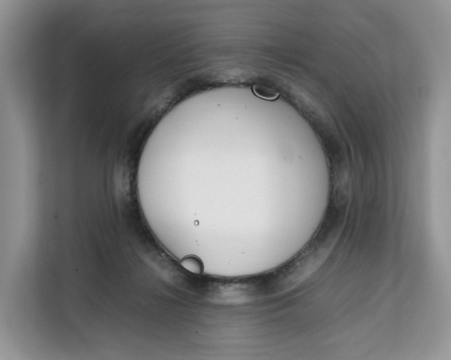 X0000112210268200908281506