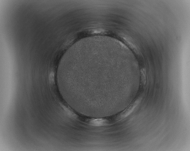 X0000112210269200908281506