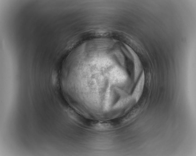 X0000112210270200908281506