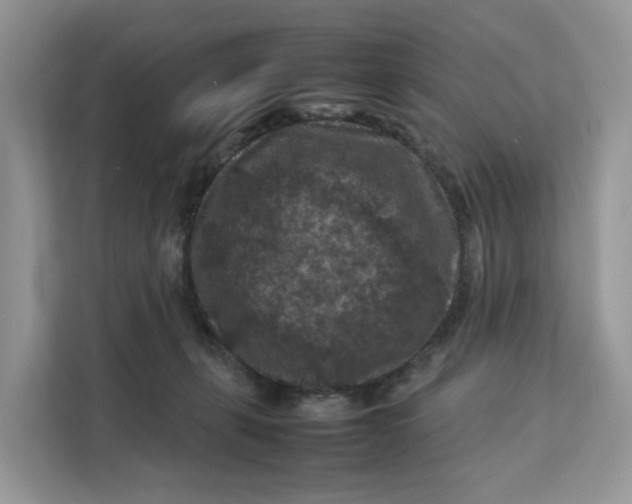 X0000112210271200908281506