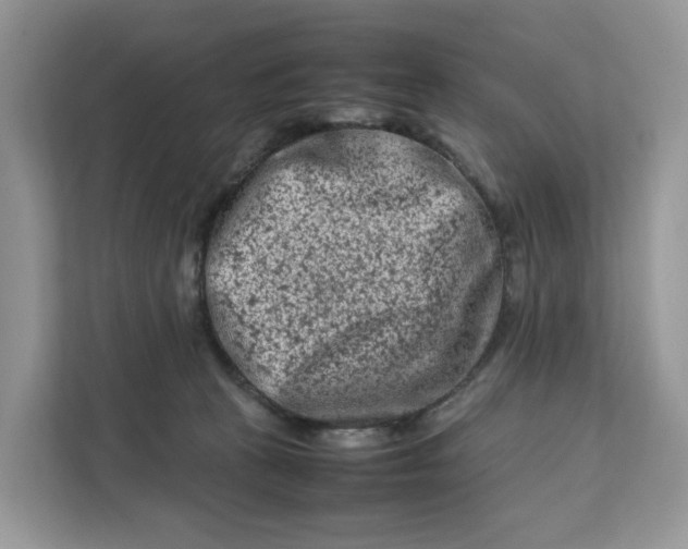 X0000112210273200908281506
