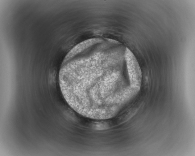 X0000112210275200908281506