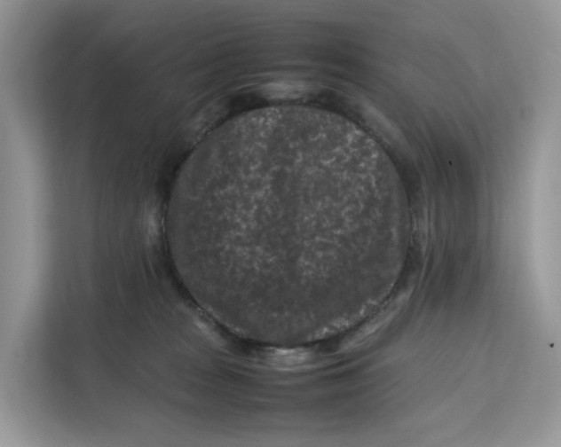 X0000112210277200908281506