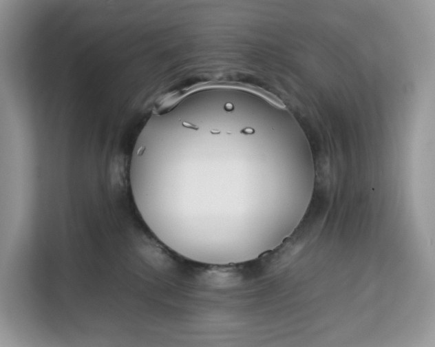 X0000112210280200908281506