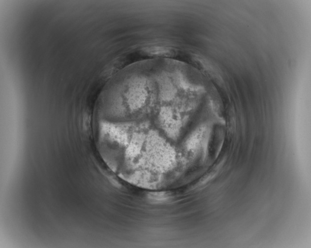 X0000112210281200908281506