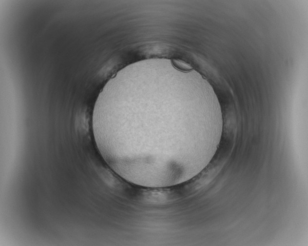 X0000112210282200908281506
