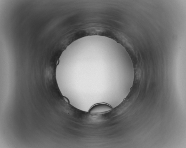 X0000112210283200908281506