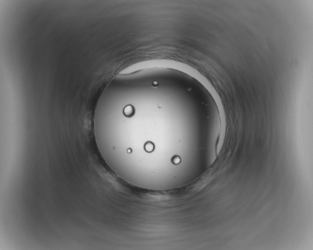 X0000112210284200908281506